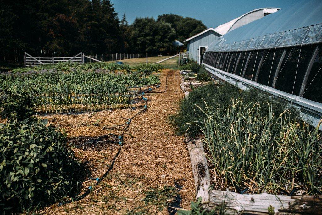 Exterior - 51B Rue Principale N., Saint-Bruno-De-Guigues, QC - Outdoor