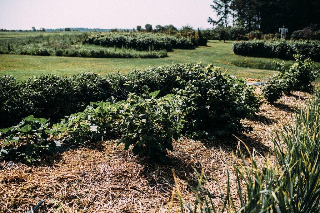 Exterior - 51B Rue Principale N., Saint-Bruno-De-Guigues, QC - Outdoor With View