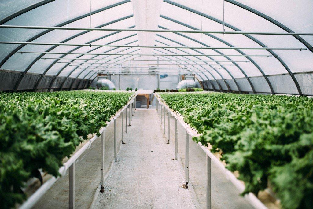 Greenhouse - 51B Rue Principale N., Saint-Bruno-De-Guigues, QC - Outdoor