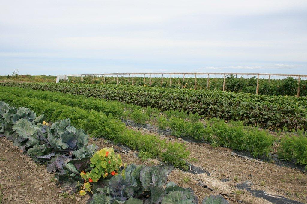 Exterior - 51B Rue Principale N., Saint-Bruno-De-Guigues, QC - Outdoor With View