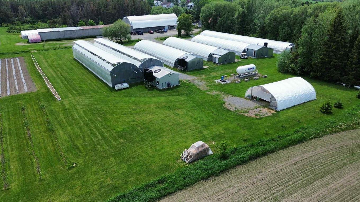 Overall view - 51B Rue Principale N., Saint-Bruno-De-Guigues, QC - Outdoor