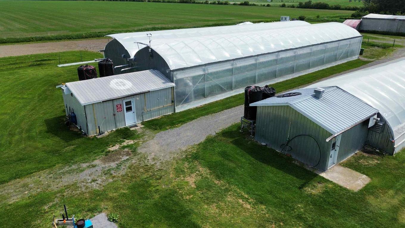 Greenhouse - 51B Rue Principale N., Saint-Bruno-De-Guigues, QC - Outdoor