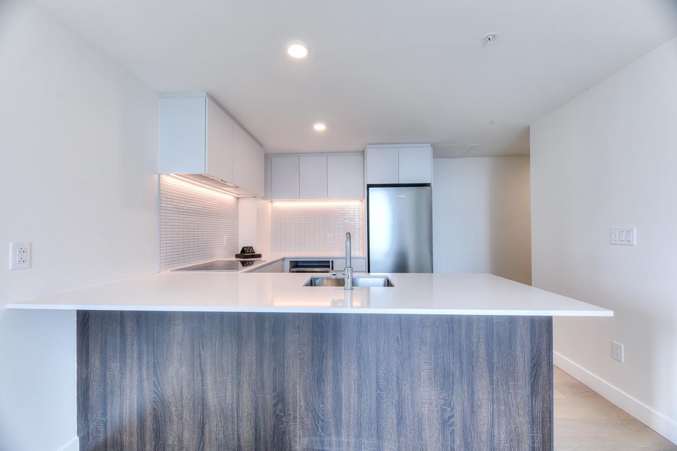 Kitchen - 4019-1210 Rue Jeanne-Mance, Montréal (Ville-Marie), QC - Indoor Photo Showing Kitchen With Double Sink