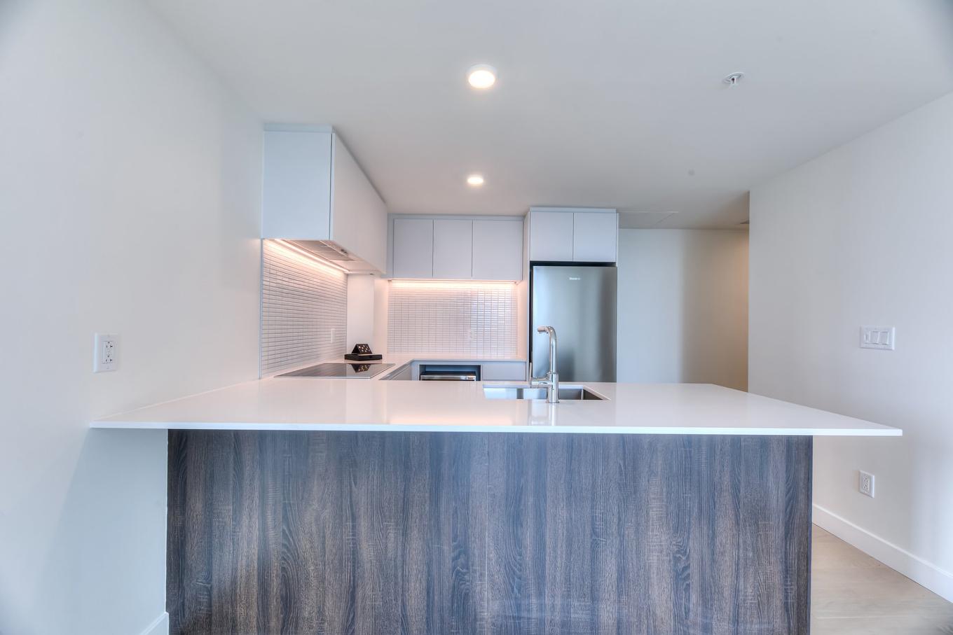 Kitchen - 4019-1210 Rue Jeanne-Mance, Montréal (Ville-Marie), QC - Indoor Photo Showing Kitchen With Double Sink