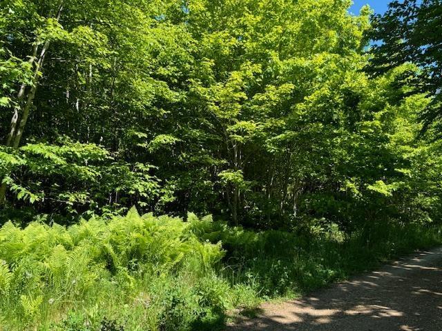 Lot 9 Kempt Head Road, Kempt Head, NS