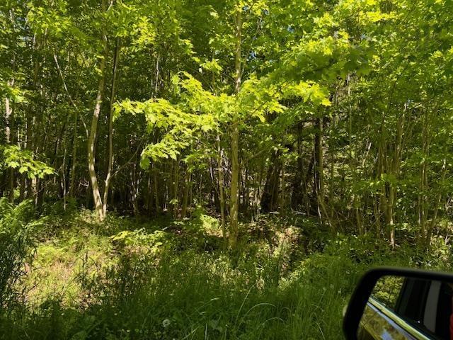 Lot 9 Kempt Head Road, Kempt Head, NS