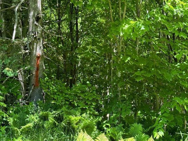 Lot 9 Kempt Head Road, Kempt Head, NS