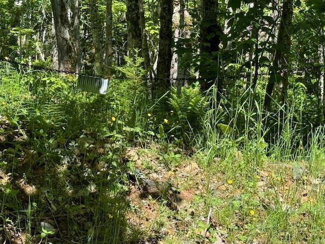 Lot 9 Kempt Head Road, Kempt Head, NS