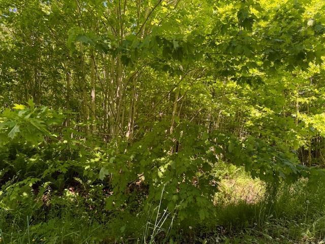 Lot 9 Kempt Head Road, Kempt Head, NS