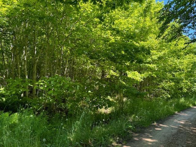 Lot 9 Kempt Head Road, Kempt Head, NS