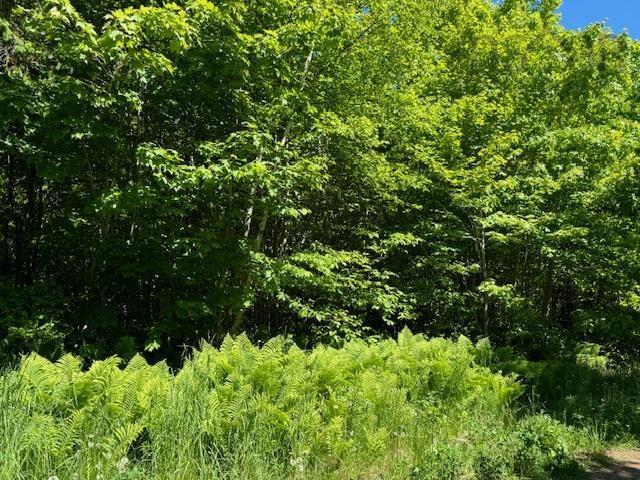 Lot 9 Kempt Head Road, Kempt Head, NS