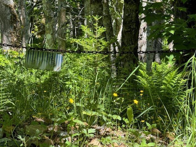 Lot 9 Kempt Head Road, Kempt Head, NS