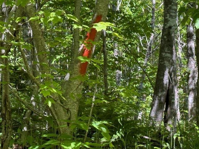 Lot 9 Kempt Head Road, Kempt Head, NS