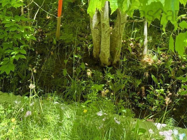 Lot 9 Kempt Head Road, Kempt Head, NS