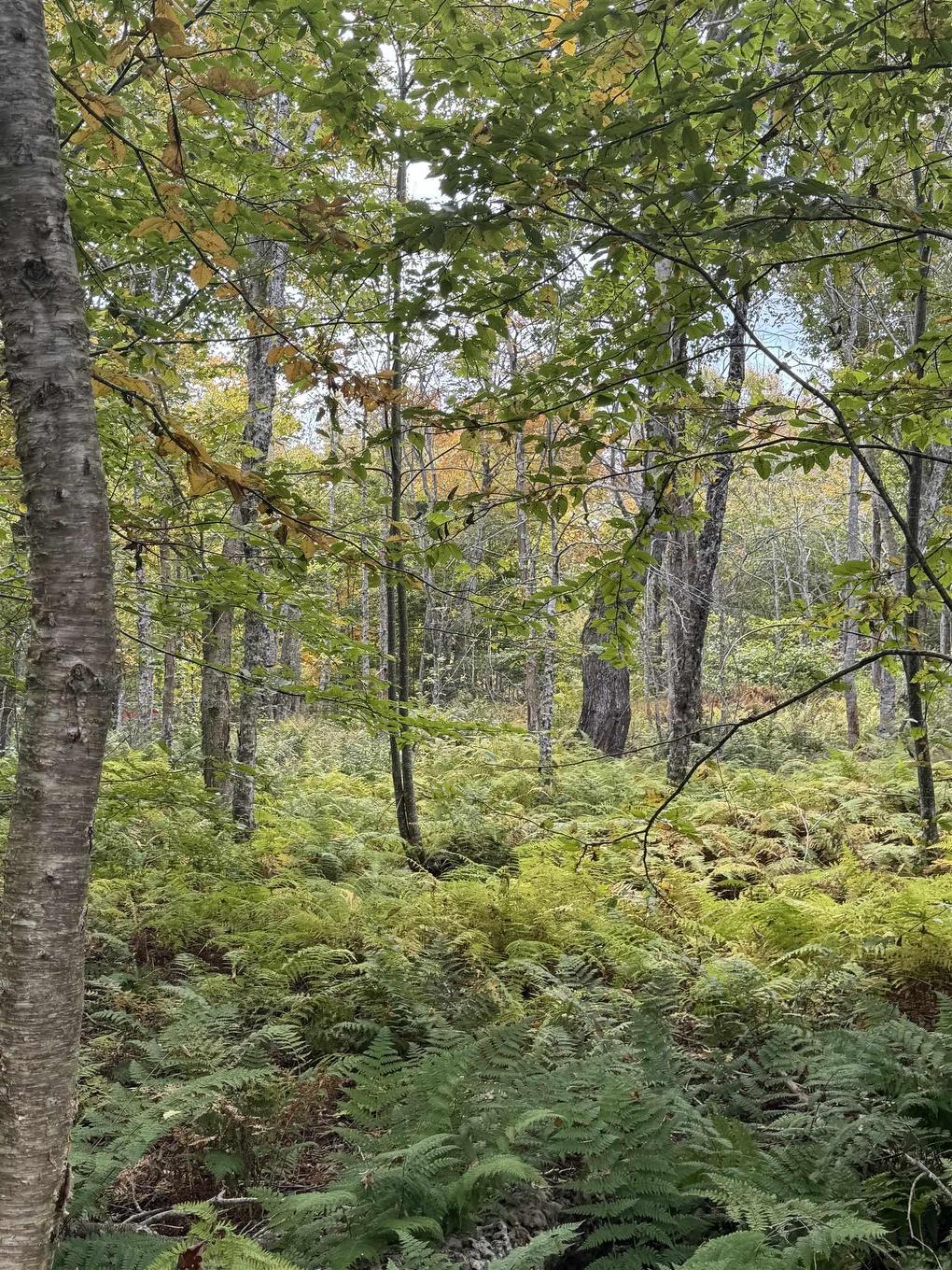 Lot 9 Kempt Head Road, Kempt Head, NS