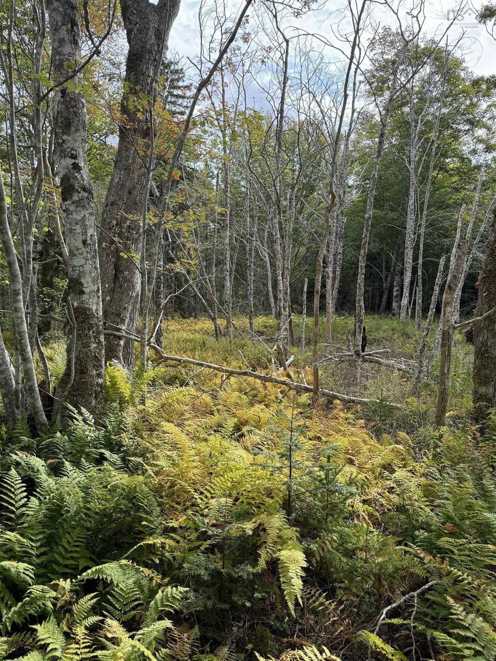 Lot 9 Kempt Head Road, Kempt Head, NS