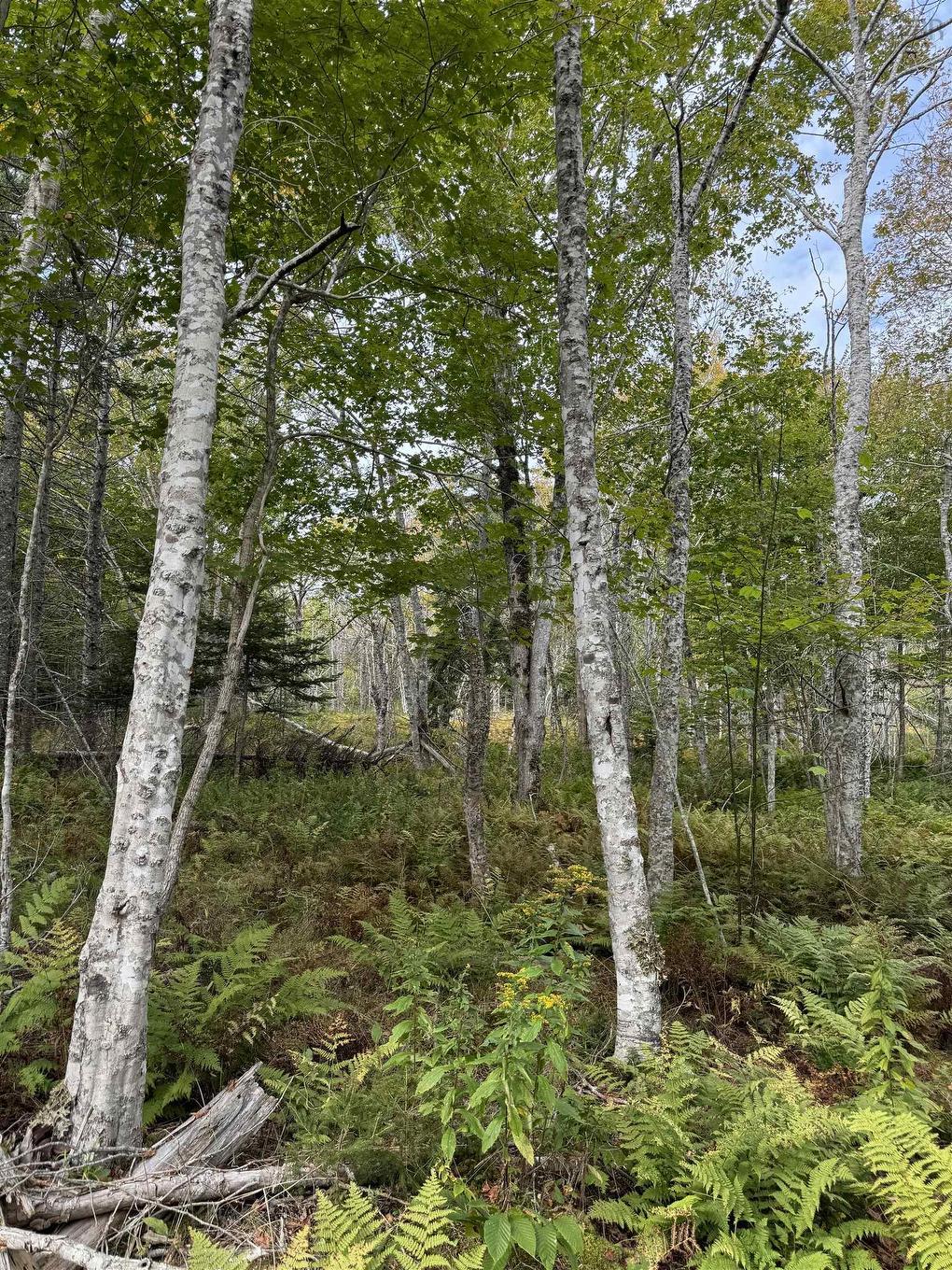 Lot 9 Kempt Head Road, Kempt Head, NS