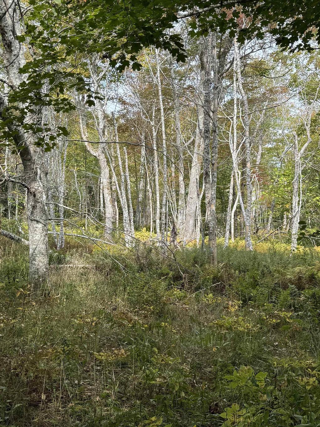 Lot 9 Kempt Head Road, Kempt Head, NS