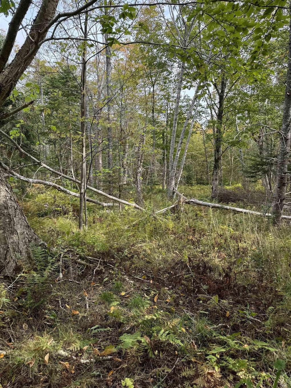 Lot 9 Kempt Head Road, Kempt Head, NS