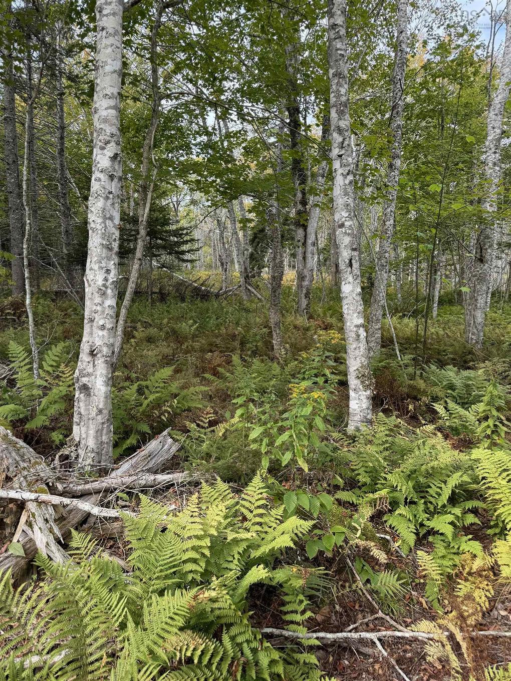 Lot 9 Kempt Head Road, Kempt Head, NS