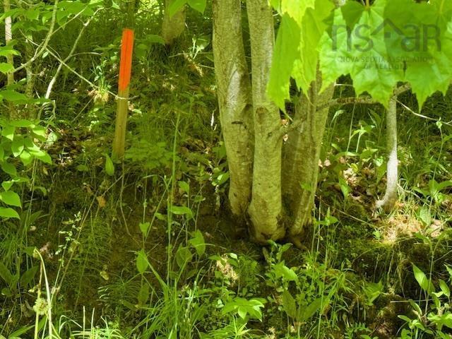 Lot 9 Kempt Head Road, Kempt Head, NS