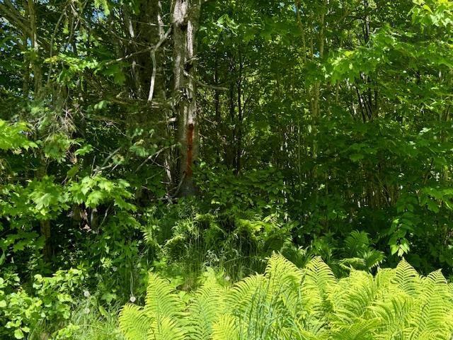 Lot 9 Kempt Head Road, Kempt Head, NS