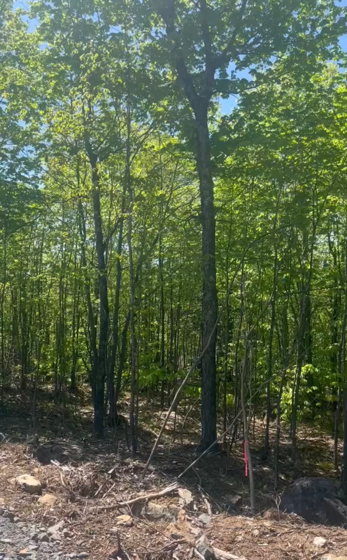 Extérieur - Rue Rainbow, Gore, QC