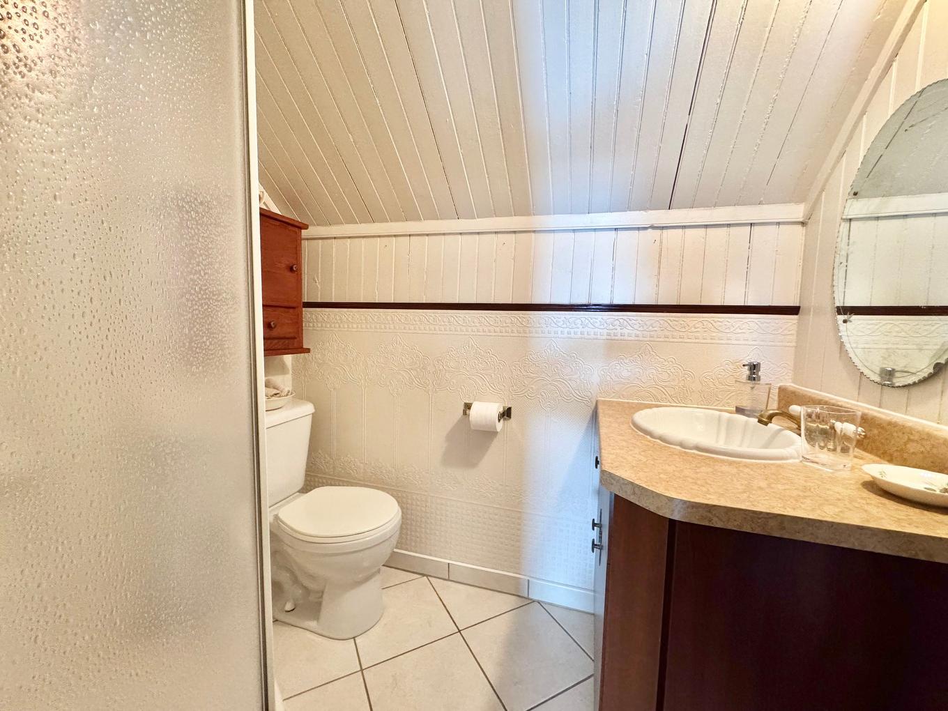 Bathroom - 51 Rue Principale N., Saint-Bruno-De-Guigues, QC - Indoor Photo Showing Bathroom