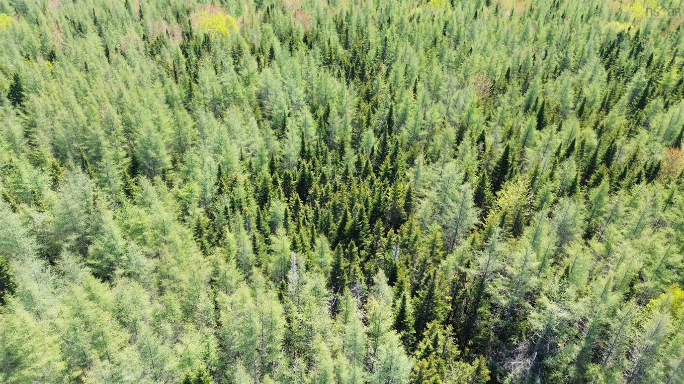 Lot 21D Ashfield Road, River Denys, NS