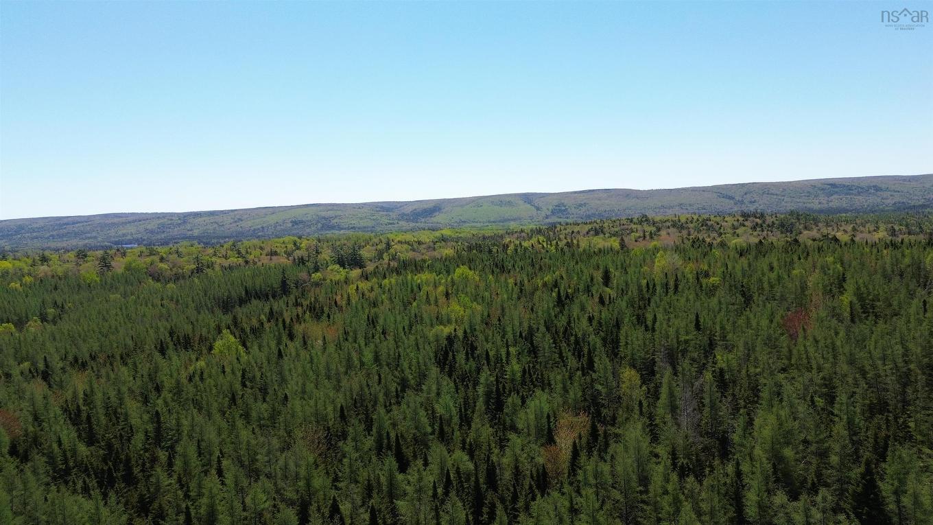 Lot 21D Ashfield Road, River Denys, NS