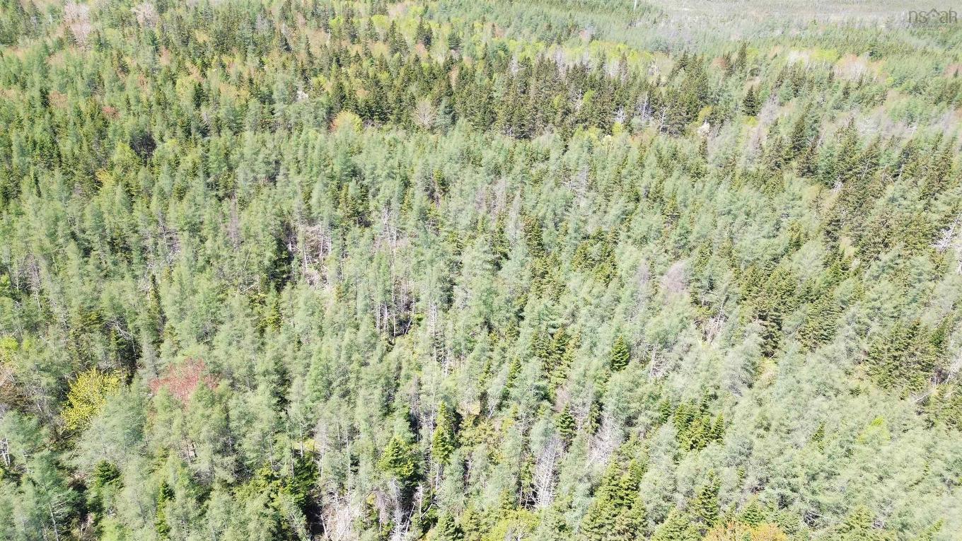 Lot 21D Ashfield Road, River Denys, NS