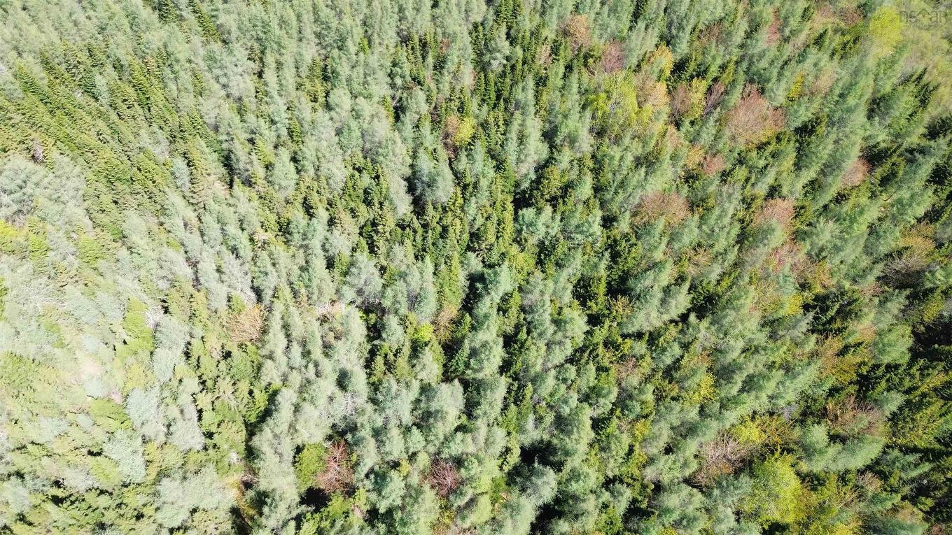 Lot 21D Ashfield Road, River Denys, NS