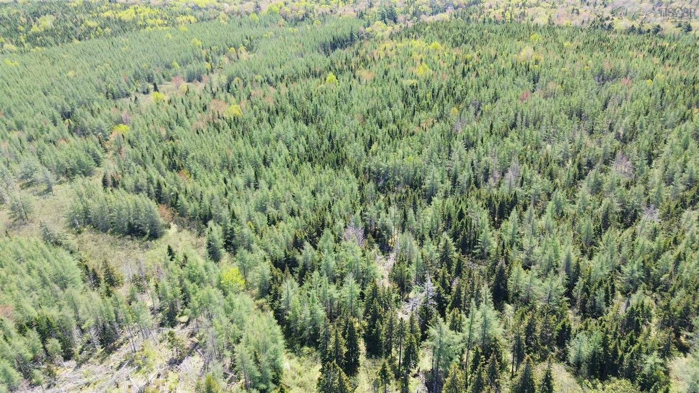 Lot 21D Ashfield Road, River Denys, NS