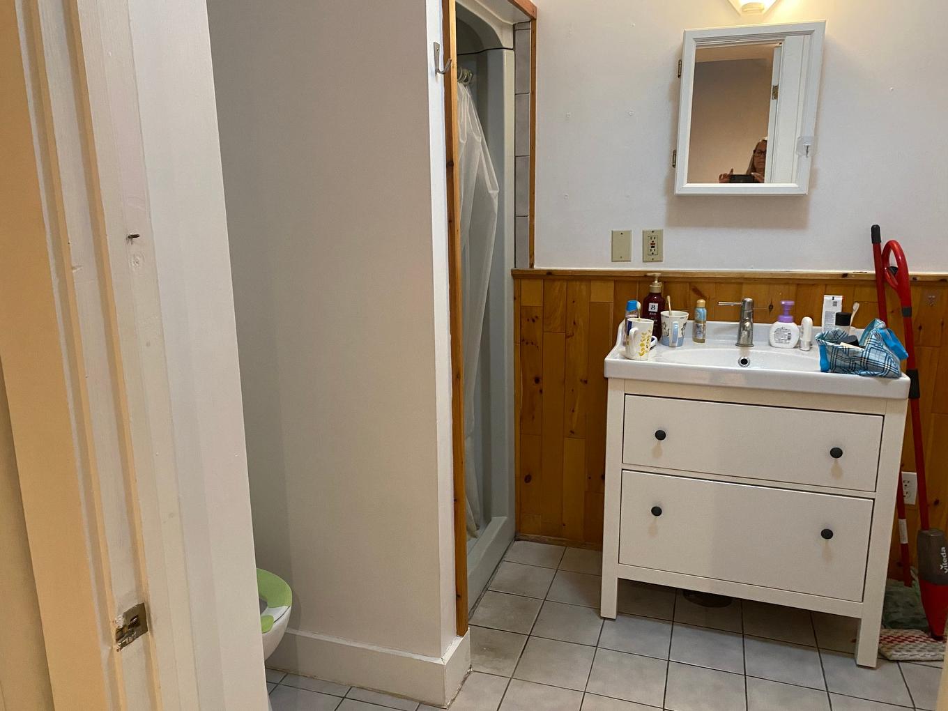 Bathroom - 2-570 Rue Milton, Montréal (Le Plateau-Mont-Royal), QC - Indoor Photo Showing Bathroom