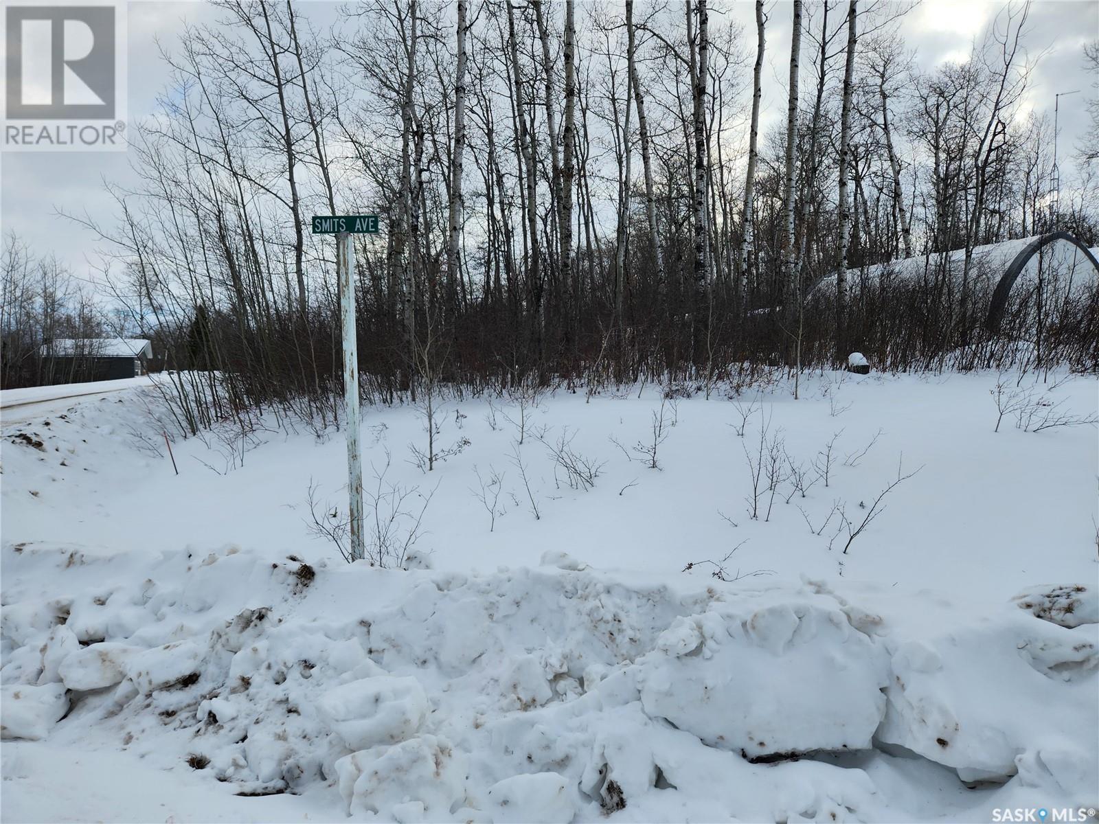 1 Smits Avenue, Nipawin Rm No. 487, SK