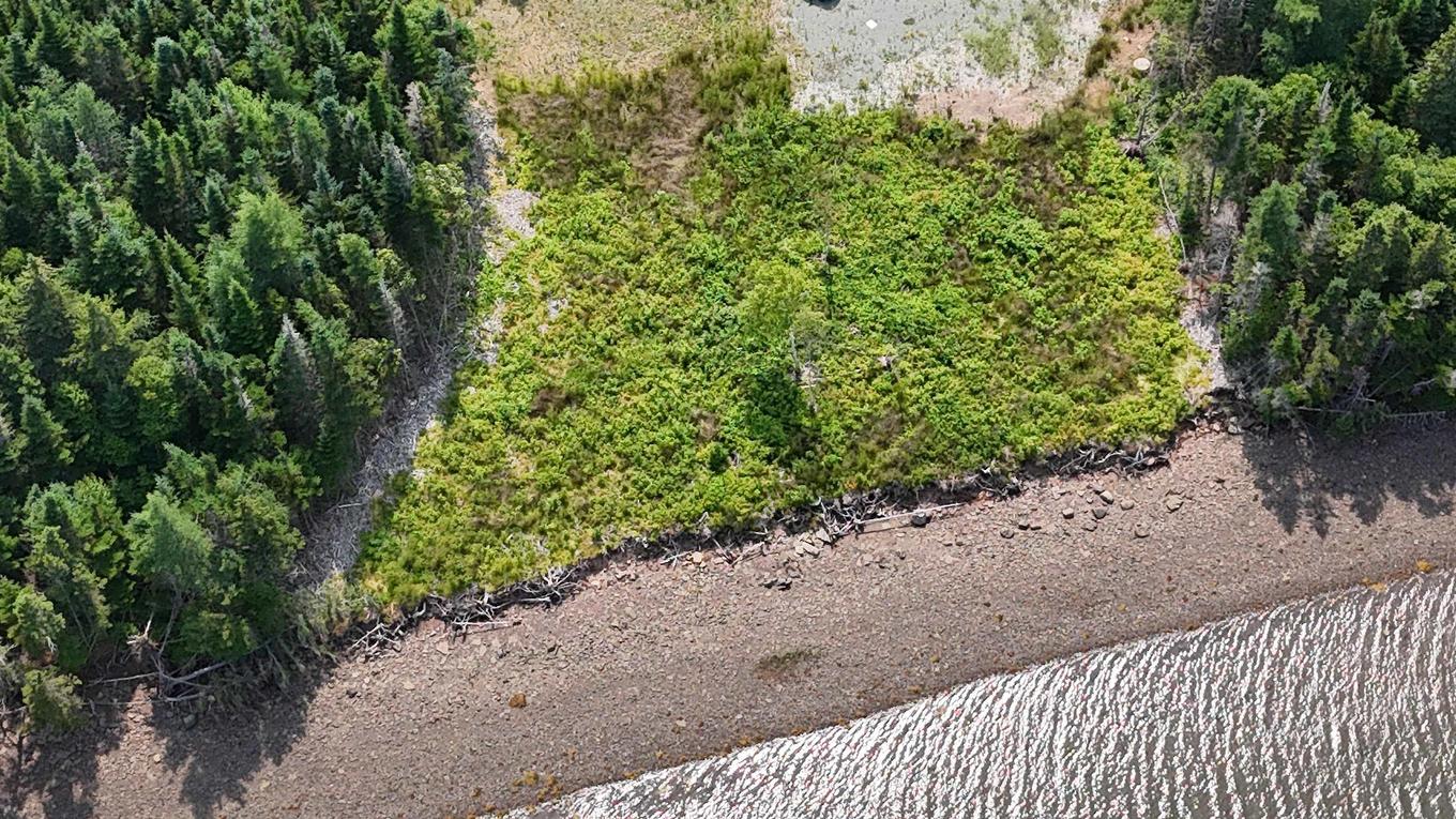 Lot 6 Walkerville Road, Walkerville, NS