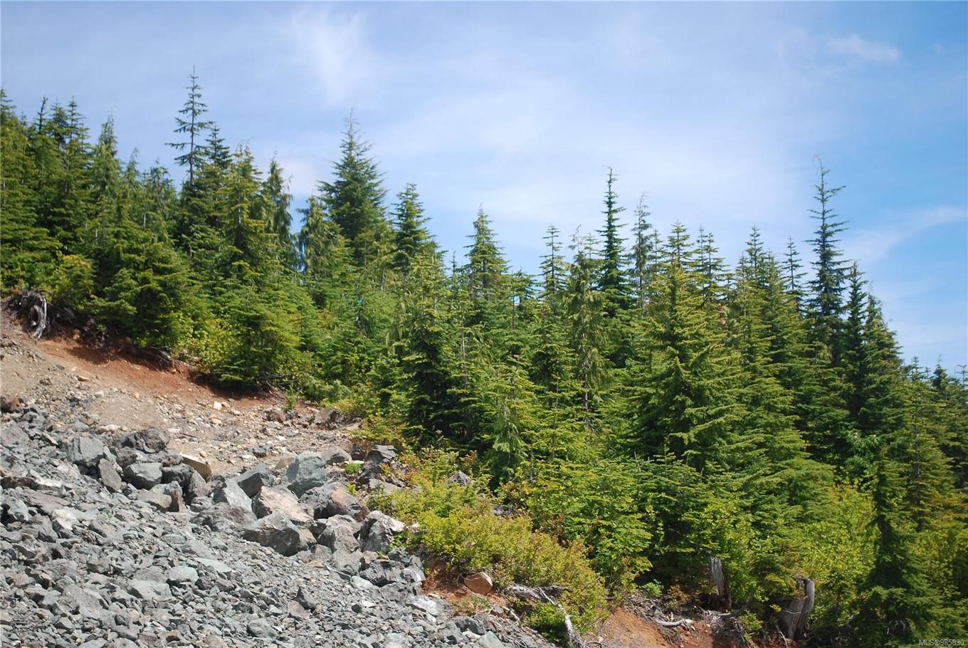 720 Arrowsmith Ridge, Courtenay, BC