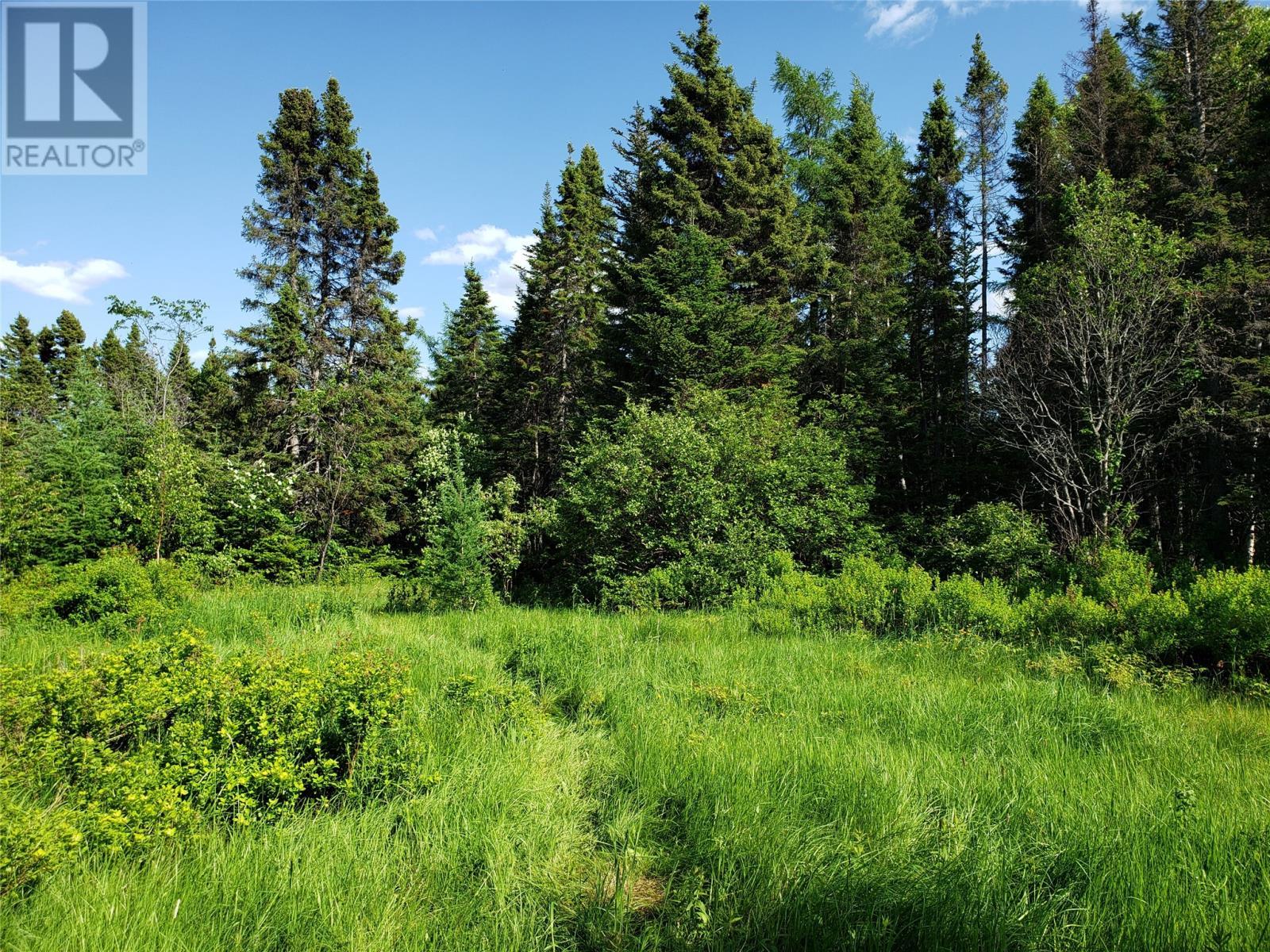 35-1 Angle Brook Road, Glovertown, NL