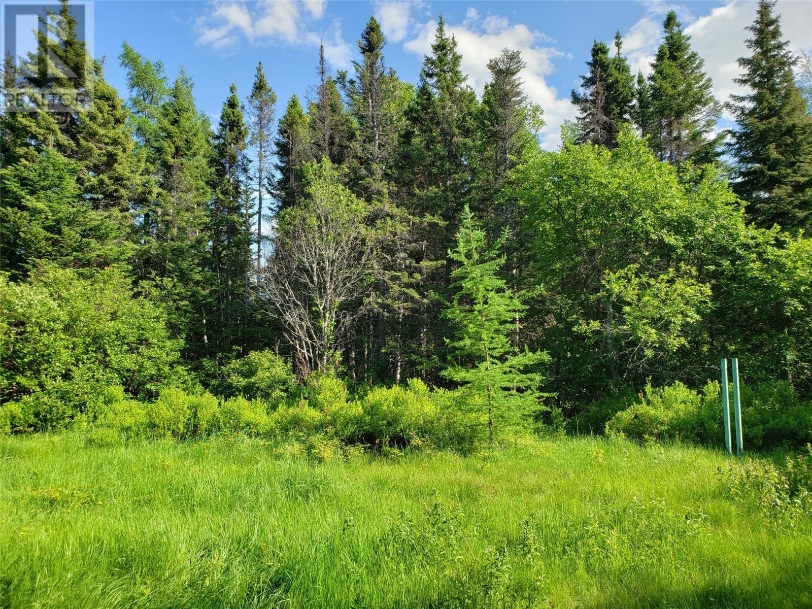 35-1 Angle Brook Road, Glovertown, NL