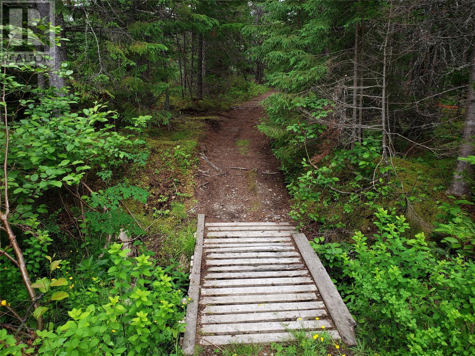 35-1 Angle Brook Road, Glovertown, NL