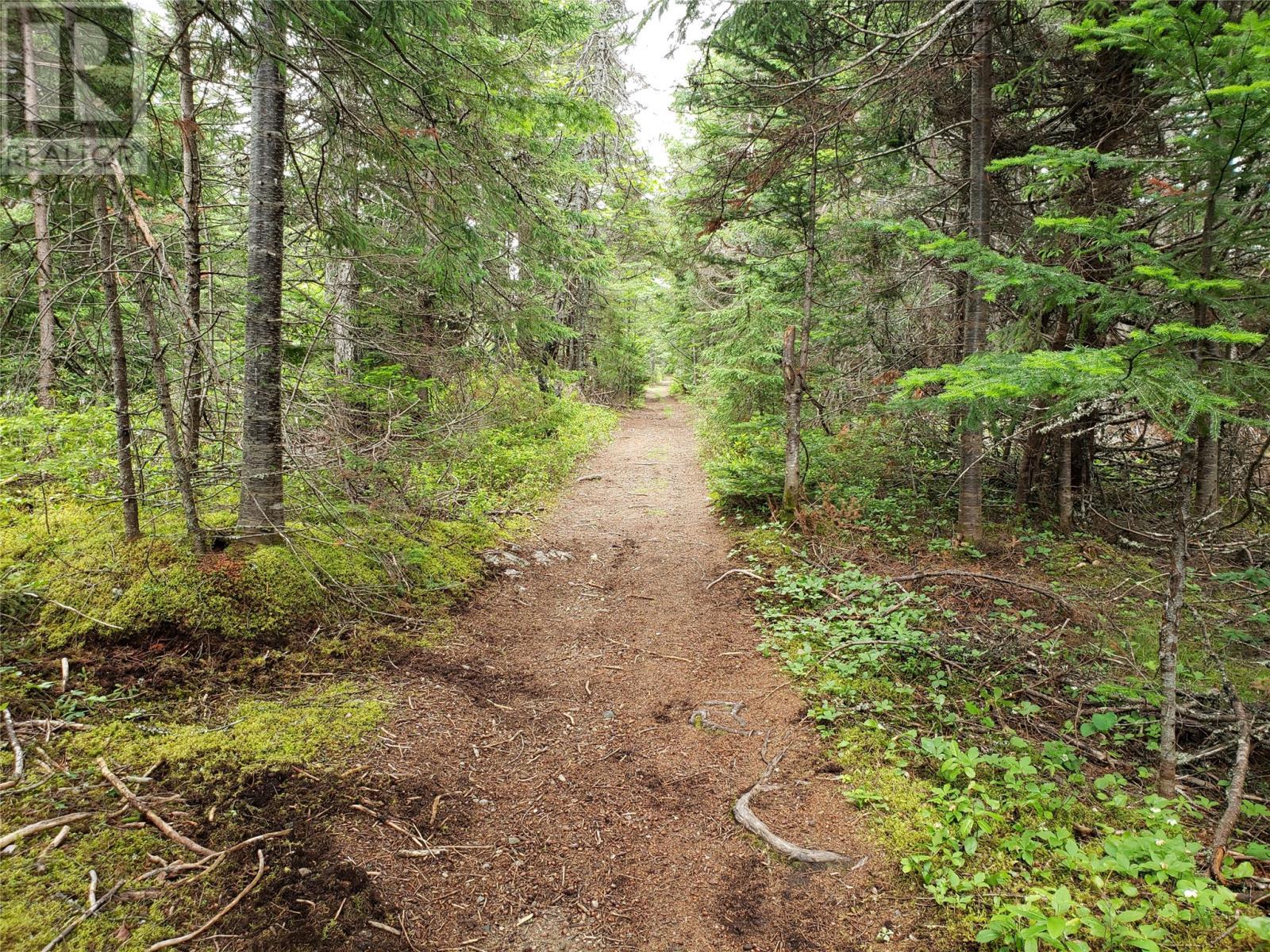 35-1 Angle Brook Road, Glovertown, NL