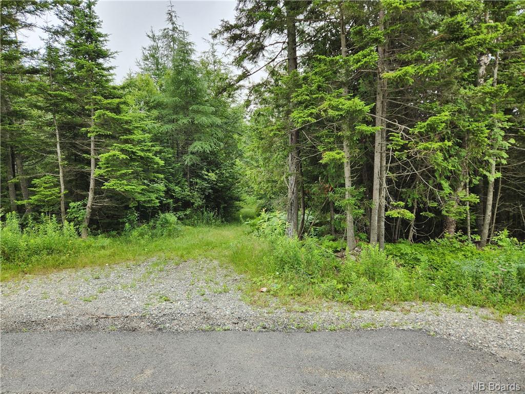 - Hickey Rd, Saint John, NB