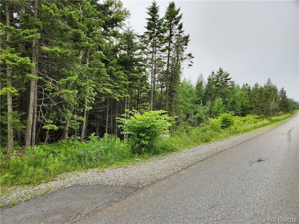 - Hickey Rd, Saint John, NB