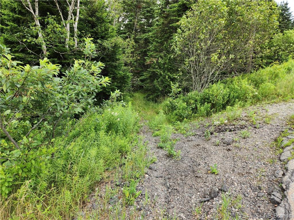 - Hickey Rd, Saint John, NB