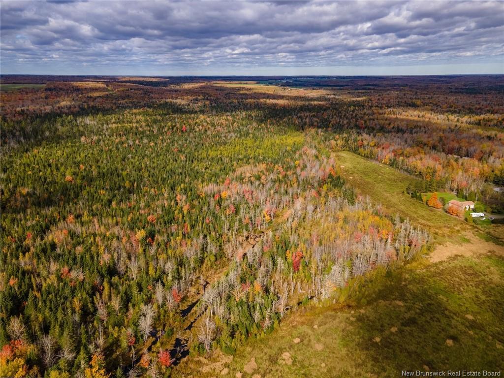Lot Maclean Crossroad, Irishtown, NB