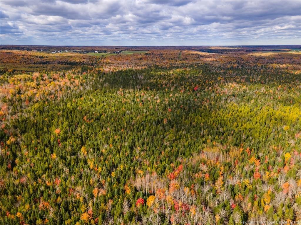 Lot Maclean Crossroad, Irishtown, NB