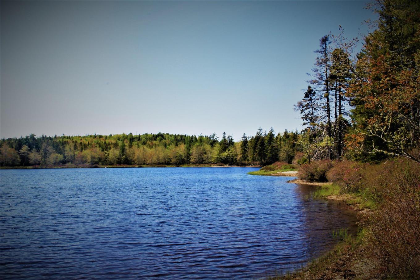 2 Laconia Road, Lunenburg, NS