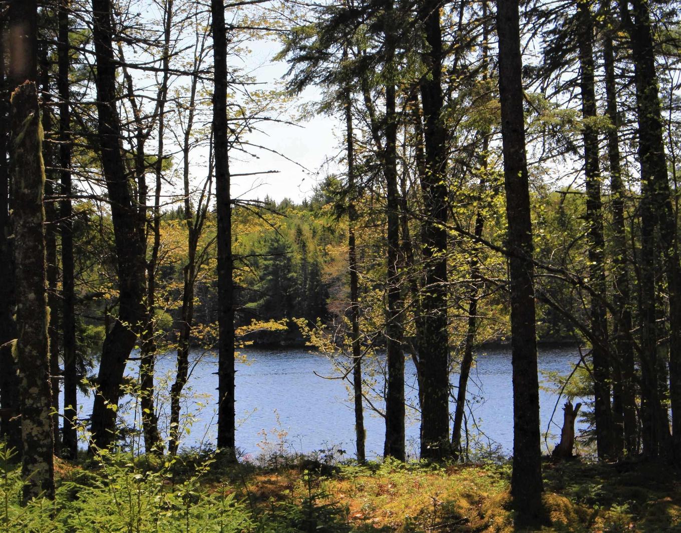 2 Laconia Road, Lunenburg, NS