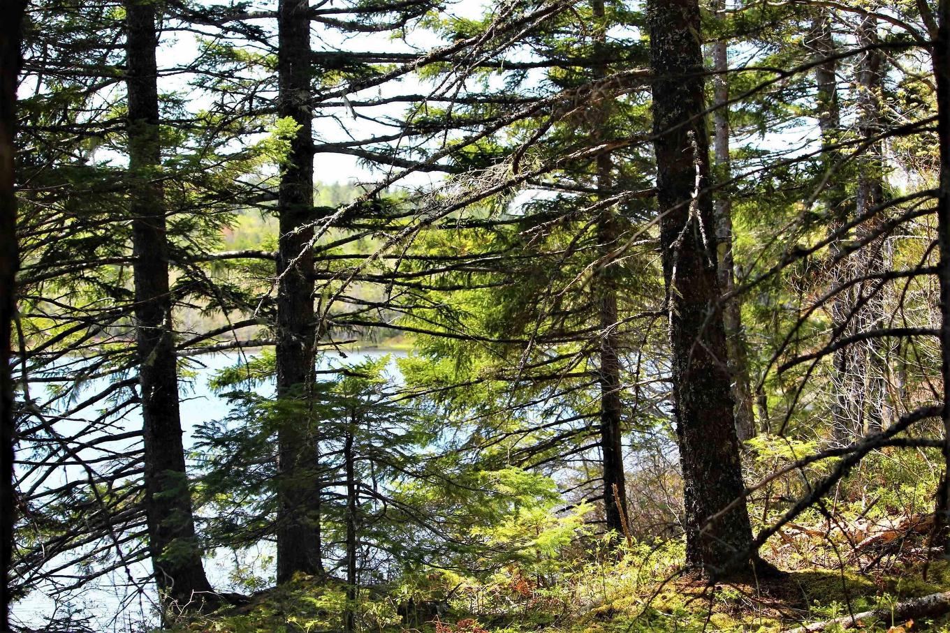 2 Laconia Road, Lunenburg, NS