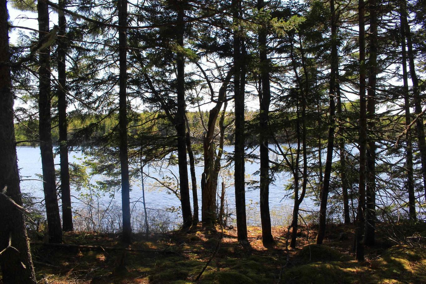 2 Laconia Road, Lunenburg, NS